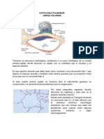 Patologia Pulmonar en PDF