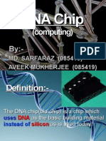 DNA chip