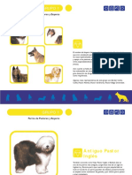 perros-7-10.pdf