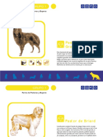 perros-11-15.pdf