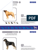 perros-16-20.pdf