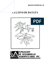 Batata PDF