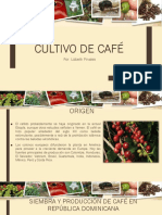 Cultivo de Café PDF