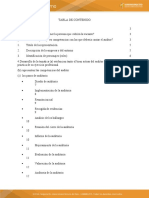 Actividad 4 Guion Sobre Responsabilidad Del Auditor