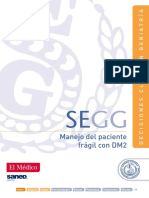 SEGG DM2 Digital3-2 PDF