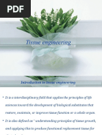 Download tissue engineering by Sudha Dheena SN48569652 doc pdf