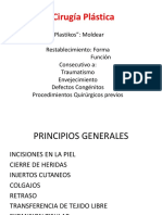 Cirugía Plástica PDF