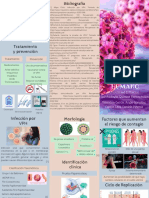 Folleto VPH PDF