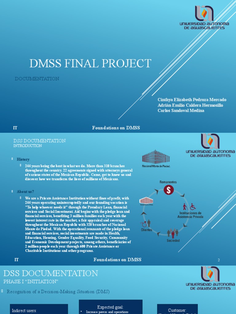 DMSS Strategy for Branch Expansion | PDF | Human–Computer Interaction ...
