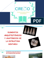 3. CIREMO-ANAT.2020 251020.pdf