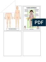 Imagenes anatomia.docx