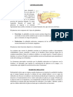 informe  diabetes .pdf