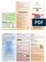 Plegable 5S PDF