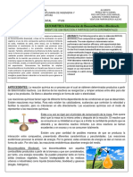 Practica 3 (Impresa)