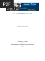 EJE 3 - Actividad 2 - Balance Cualitativo