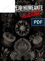 04-5 ESPEJO-HUMEANTE fanzine-2019