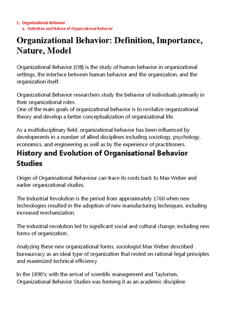 Understanding Organizational Behavior Basics | PDF | Organizational ...