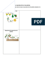 ANEXO3. La Reproducción en Las Plantas PDF