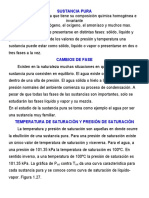 200905 SUSTANCIA PUR1.docx