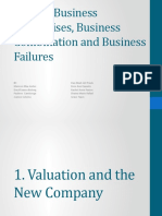 Valuing Business Enterprises, Business Combination and Business Failures