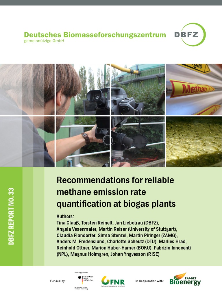 DBFZ Report 33 | PDF | Biogas | Parts Per Notation