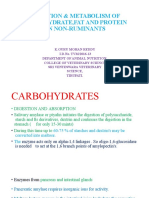digestionmetabolismofcarbohydrtefatandproteinin-170724120412-converted