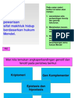 K.D. 3.5. HK - Mendel - 4