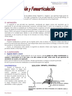 Deglución y Fonoarticulación (N° 11-12-13)