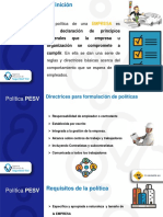 Material de consulta POLITICAS PESV