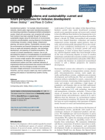 Sociotechnical Systems and Sustainability: Current and Future Perspectives For Inclusive Development