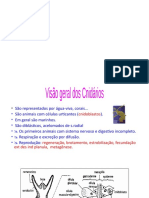 ZOO CORDADOS pdf