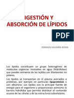 001-DIGESTIÓN-Y-ABSORCIÓN-DE-LÍPIDOS bioquimica.pdf