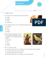 EL SONIDO - Autoevaluación PDF