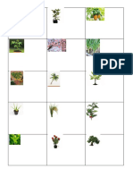15 Plant Images For School Project
