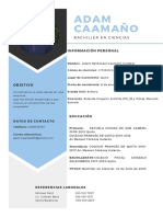 Adam Caamaño Currículum PDF