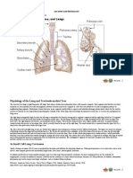 Anatomy and Physiology Anatomy of The Lung and Tracheobronchial Tree