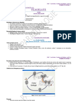 Curs+LP 2.1 Parazitologie - Flagelate (I).pdf