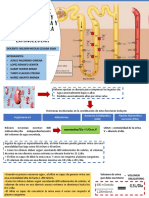 Mecanismo Renal PDF