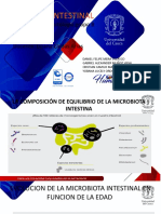 Microbiota Intestinal