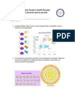 Evaluacion biologia noveno - copia (3) - copia.docx