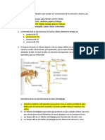 Evaluacion Ciencias Cuarto Periodo Septimo