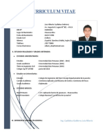 CURRICULUM VITAE Luis Ing