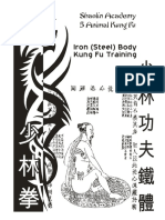 iron body.pdf