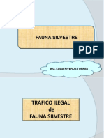 Tema 16. Fauna Silvestre - Trafico Ilegal PDF