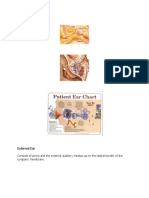 External Ear: Consists of Pinna and The External Auditory Meatus Up To The Lateral Border of The Tympanic Membrane