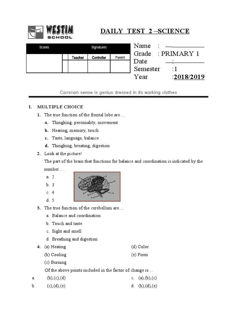 Primary 1 Science Test: Brain & Matter | PDF | Liquids | Freezing