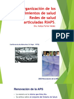 Organización de Los Establecimientos de Salud Redes PDF