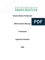 Electiva Básica Profesional Trabajo Final