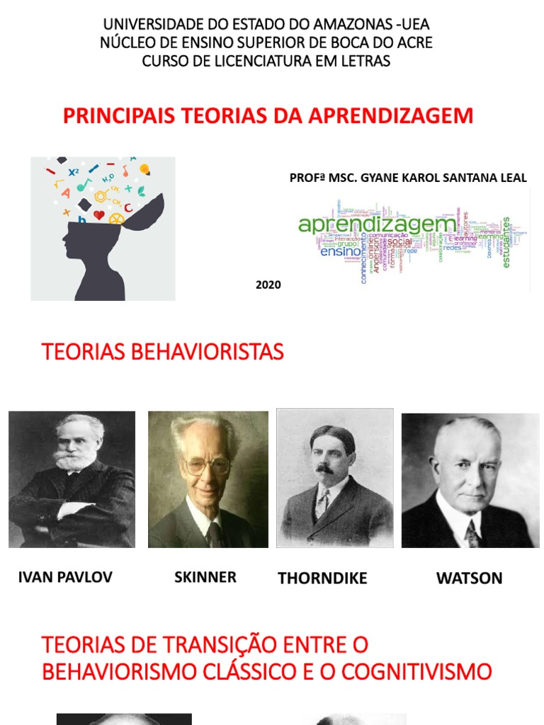 04 Principais Teorias Da Aprendizagem TODAS | PDF