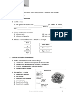 document.pdf